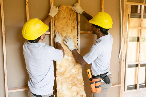 Types of Insulation We Offer in Paris, AR